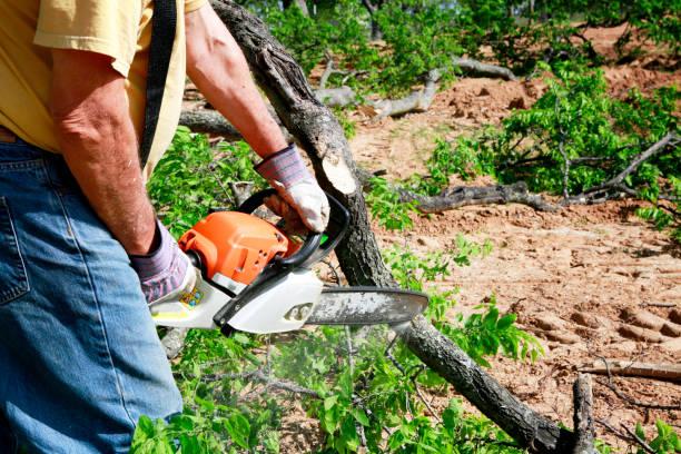 Best Commercial Tree Services  in Pinckney, MI